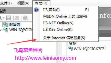 windows下查看IIS版本号的方法